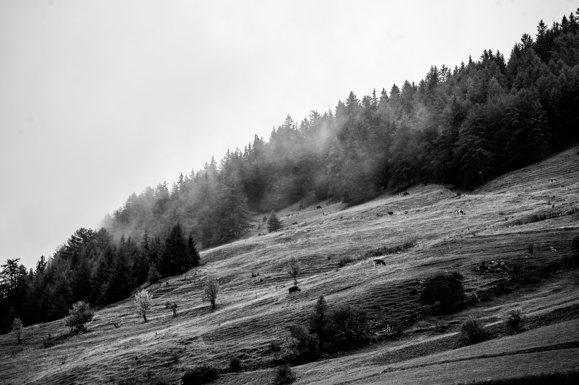 Export x3 1DX23875 Fotoshooting 2018 Annette & Mike Nauders 3